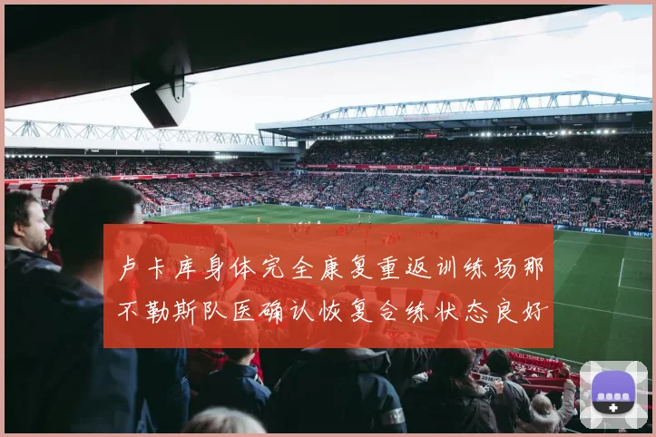 卢卡库身体完全康复重返训练场那不勒斯队医确认恢复合练状态良好