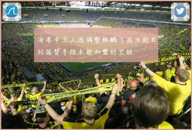 海港中卫人选调整韩鹏飞成为新目标接替李扬未能加盟的空缺